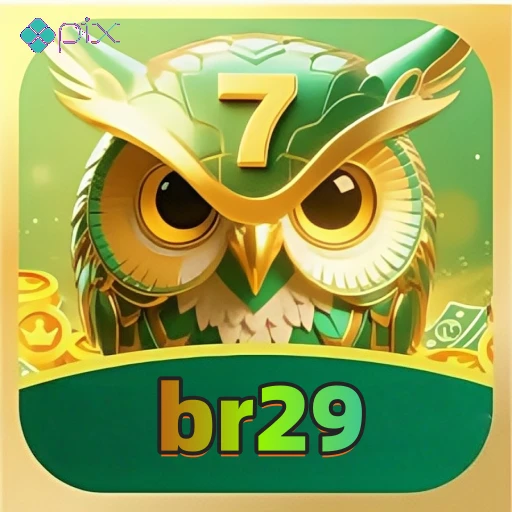 br29 Logo